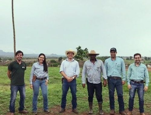 Melhora na gestão de pessoas ajudou fazenda a diminuir desembolso e aumentar margem