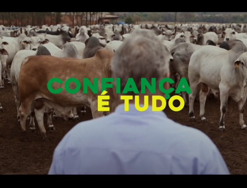 CONFIANÇA É TUDO – PARCERIA DE CONFIANÇA (Episódio – 4)